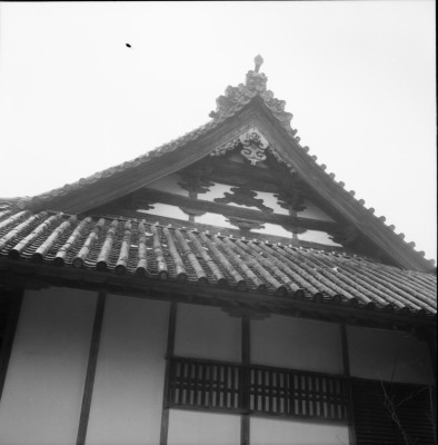 knd_33763()