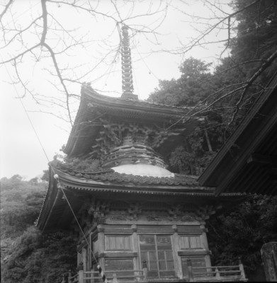 knd_33826()