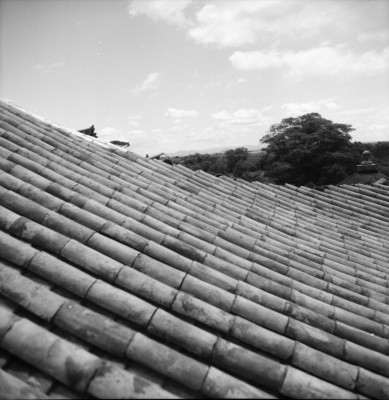 knd_33978()