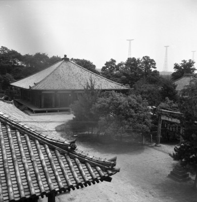 knd_34266()