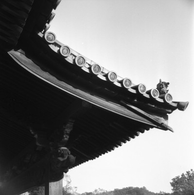 knd_34347()