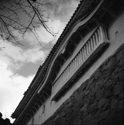 knd_34477()