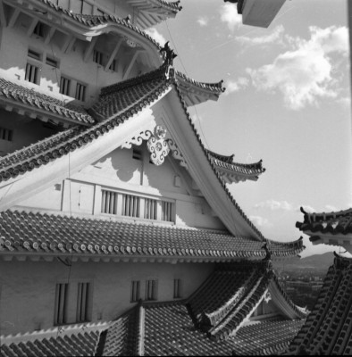 knd_34545()