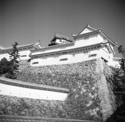 knd_34565()