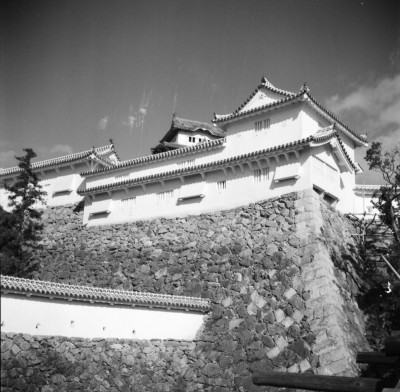 knd_34566()