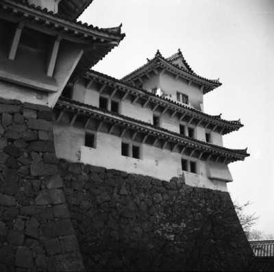 knd_34569()