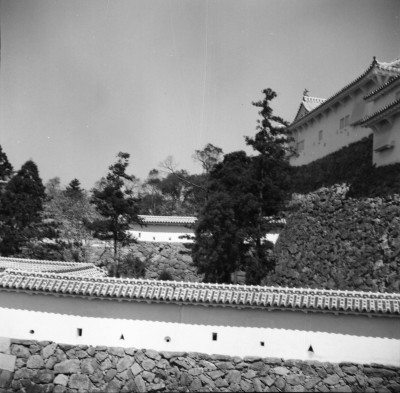 knd_34571()