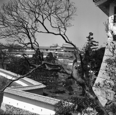 knd_34579()