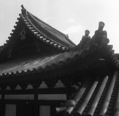 knd_34646()