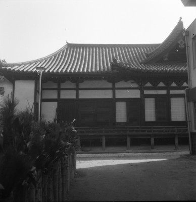 knd_34658()