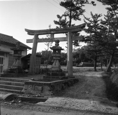 knd_34768()