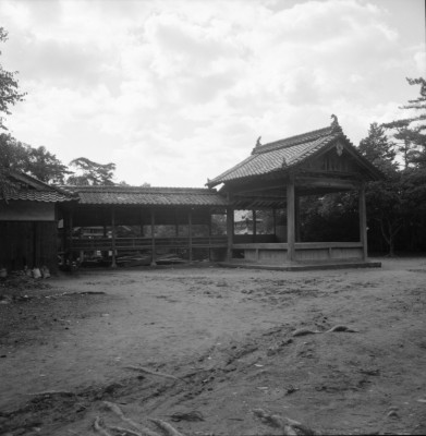 knd_34773()