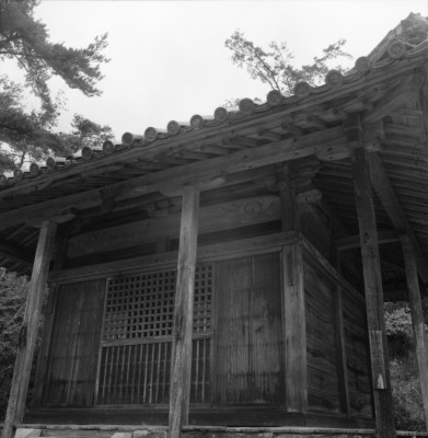 knd_34781()
