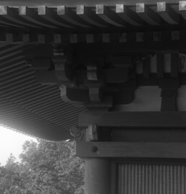 knd_35019()