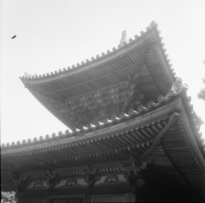 knd_35143()