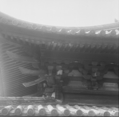 knd_35207()