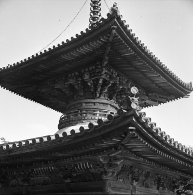 knd_35251()