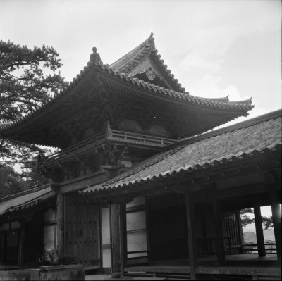 knd_35333()