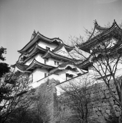 knd_35345()