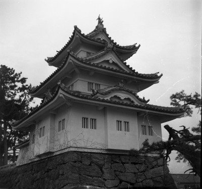 knd_35483()