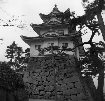knd_35484()
