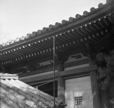 knd_35548()