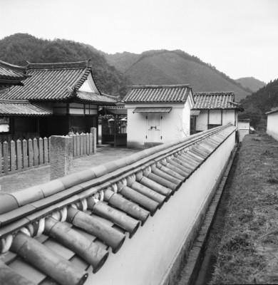 knd_35613()