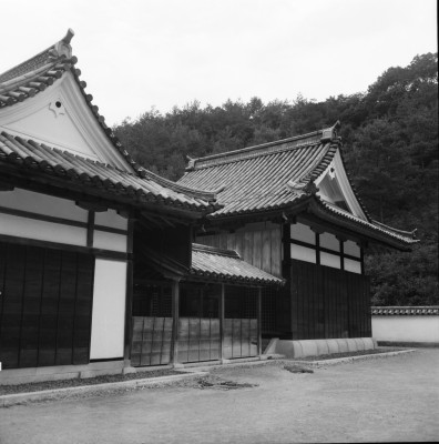 knd_35614()