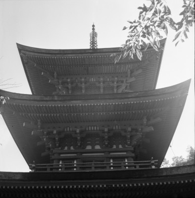 knd_35624()