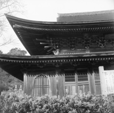 knd_36021()