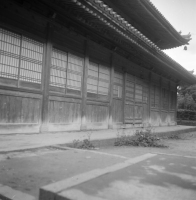 knd_36179()