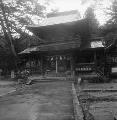 knd_36224()