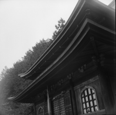 knd_36233()