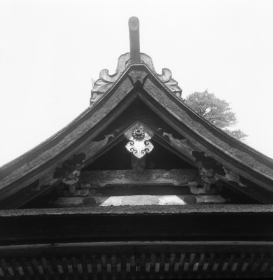 knd_36374()