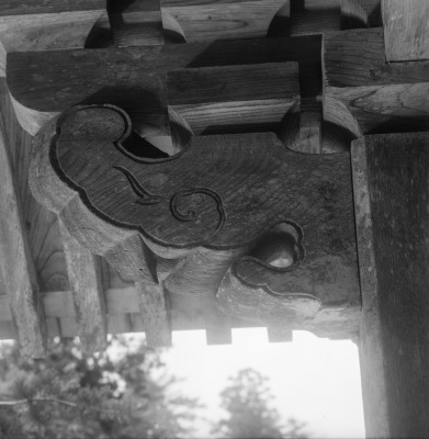 knd_36382()