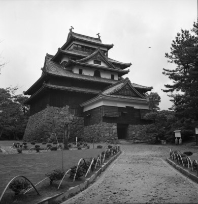 knd_36443()