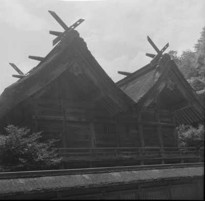 knd_36459()