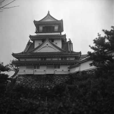 knd_36485()