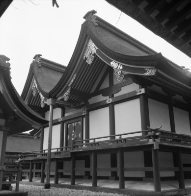knd_36526()