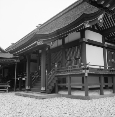 knd_36528()