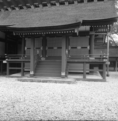 knd_36533()