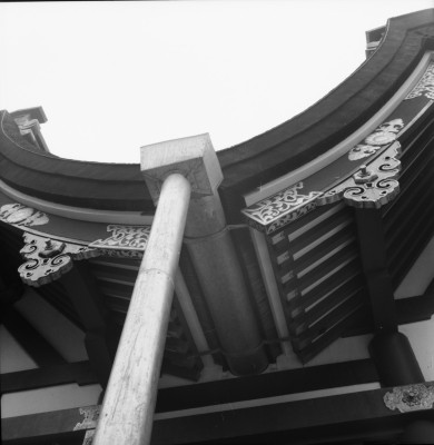 knd_36567()