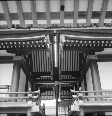 knd_36571()
