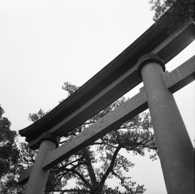 knd_36594()