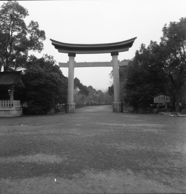 knd_36597()