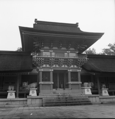 knd_36599()