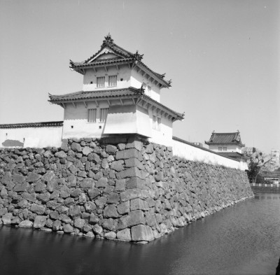 knd_36774()
