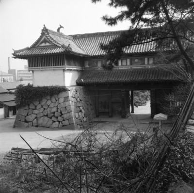 knd_36784()