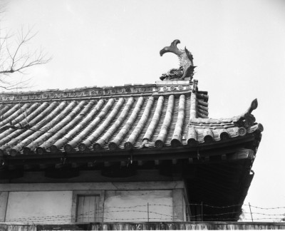 knd_36793()