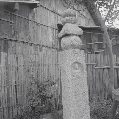 knd_01655(京都府京都市伏見区横大路柿ノ本町１１)